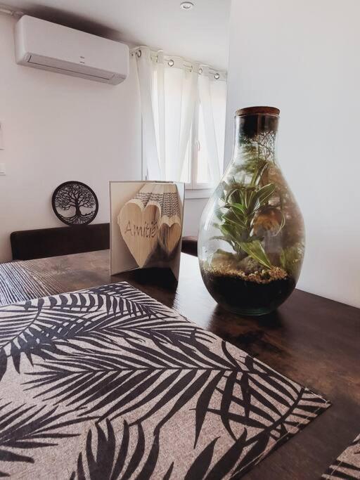 Studio Tout Confort Blaye-Les-Mines Zewnętrze zdjęcie